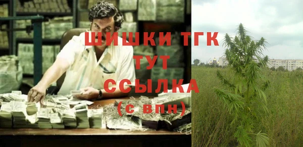 ГАЛЛЮЦИНОГЕННЫЕ ГРИБЫ Арсеньев
