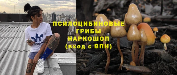 ГАЛЛЮЦИНОГЕННЫЕ ГРИБЫ Арсеньев